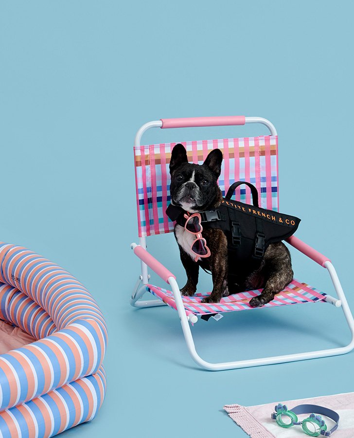 Designed for dogs