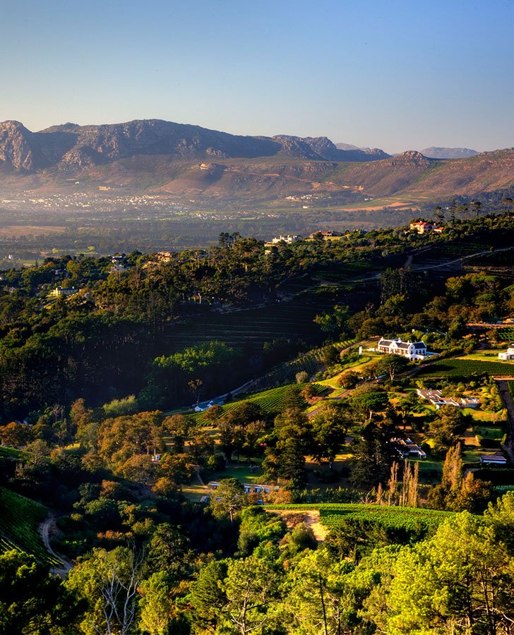 Wine down the Valley