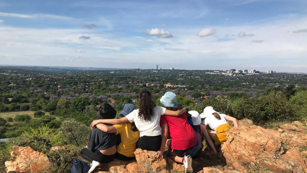 MAGICAL MELVILLE KOPPIES