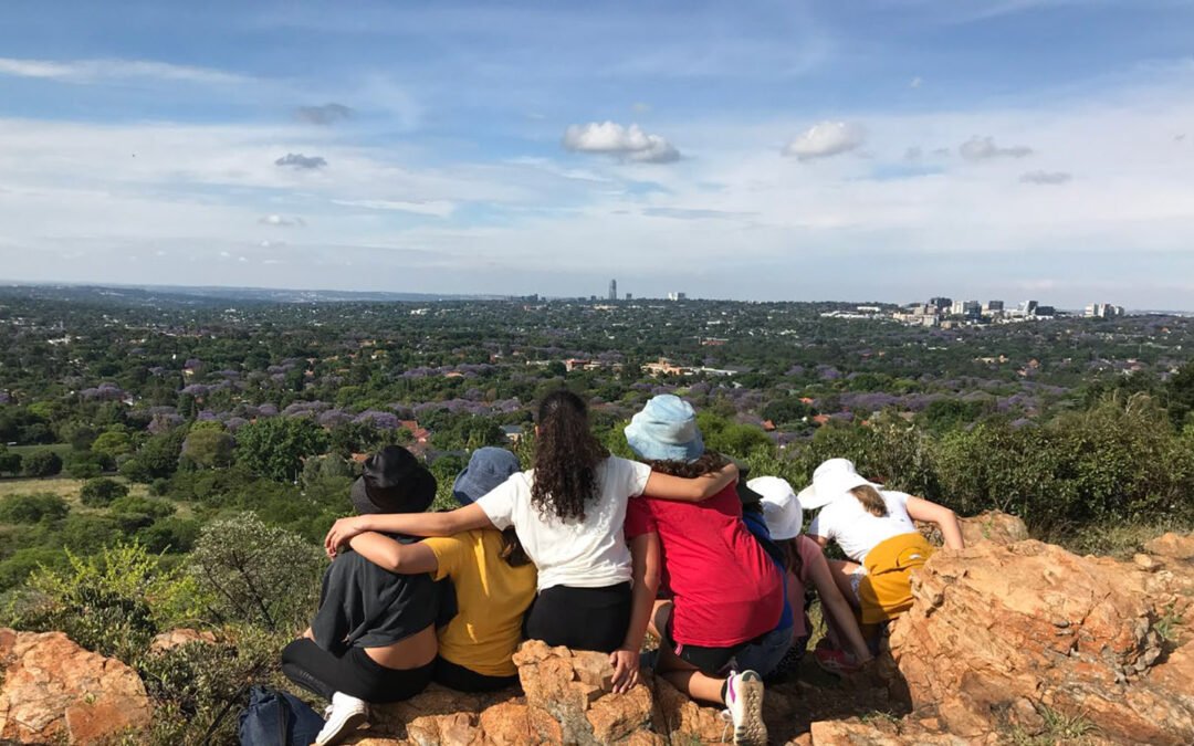 MAGICAL MELVILLE KOPPIES