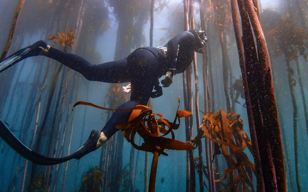 Into the deep