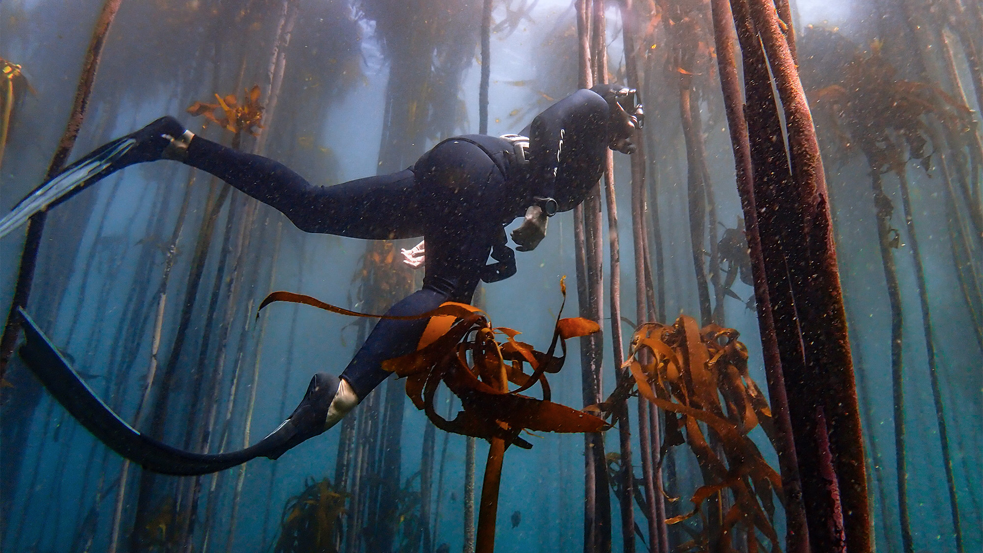 Into the deep