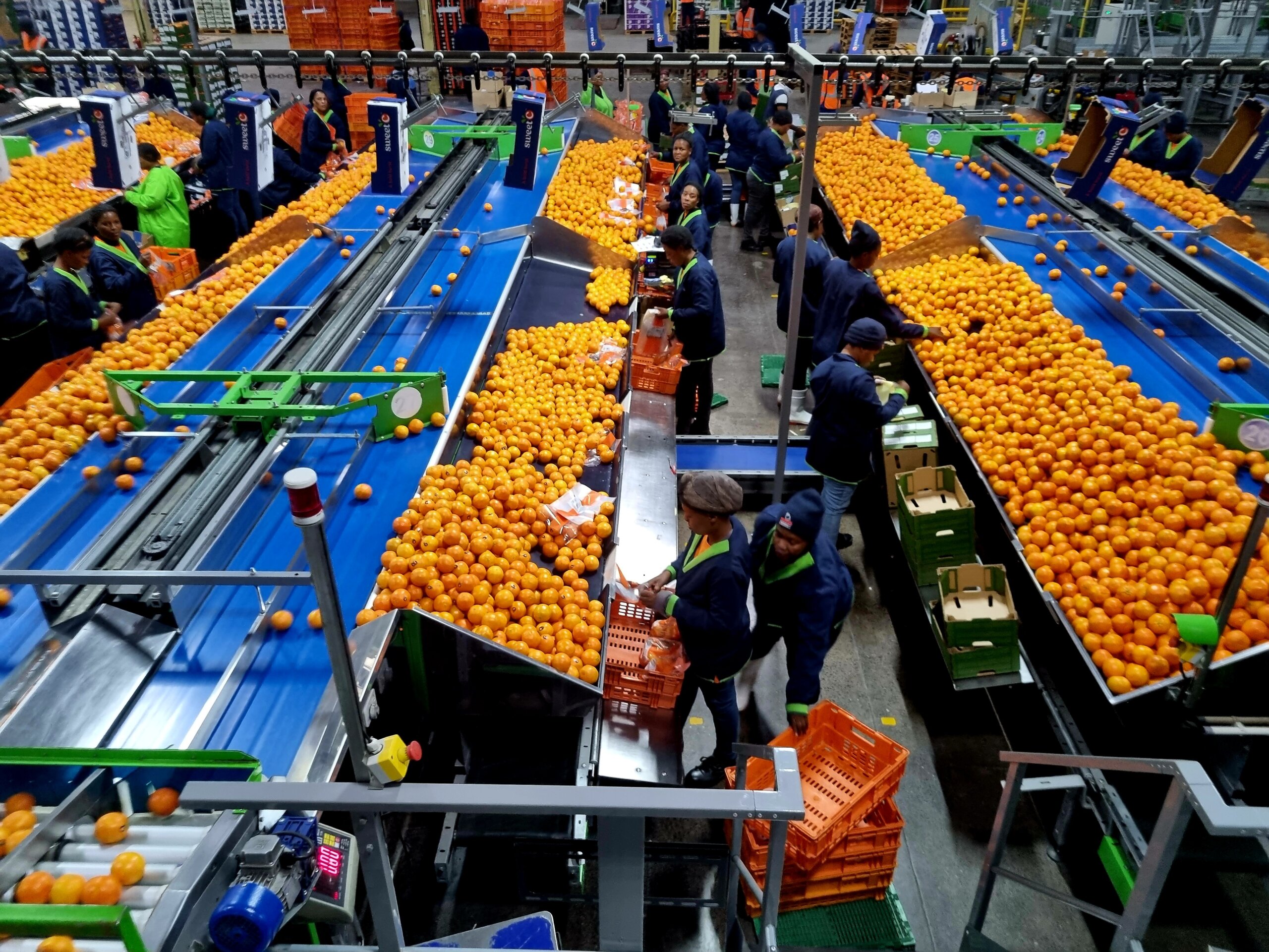 Clemengold International has an open hand
