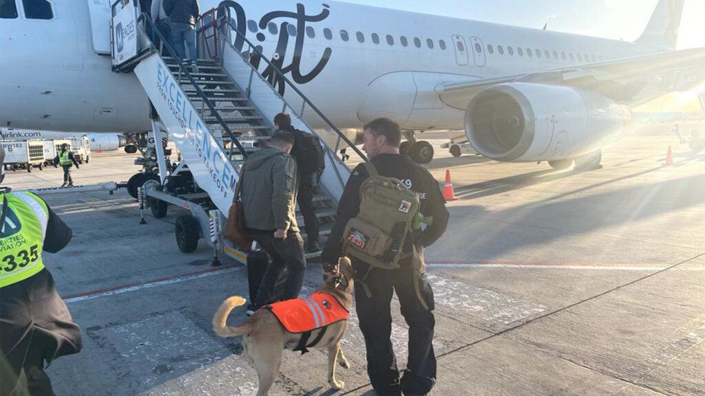 Jedi The Search and Rescue K9’s Partnership with LIFT