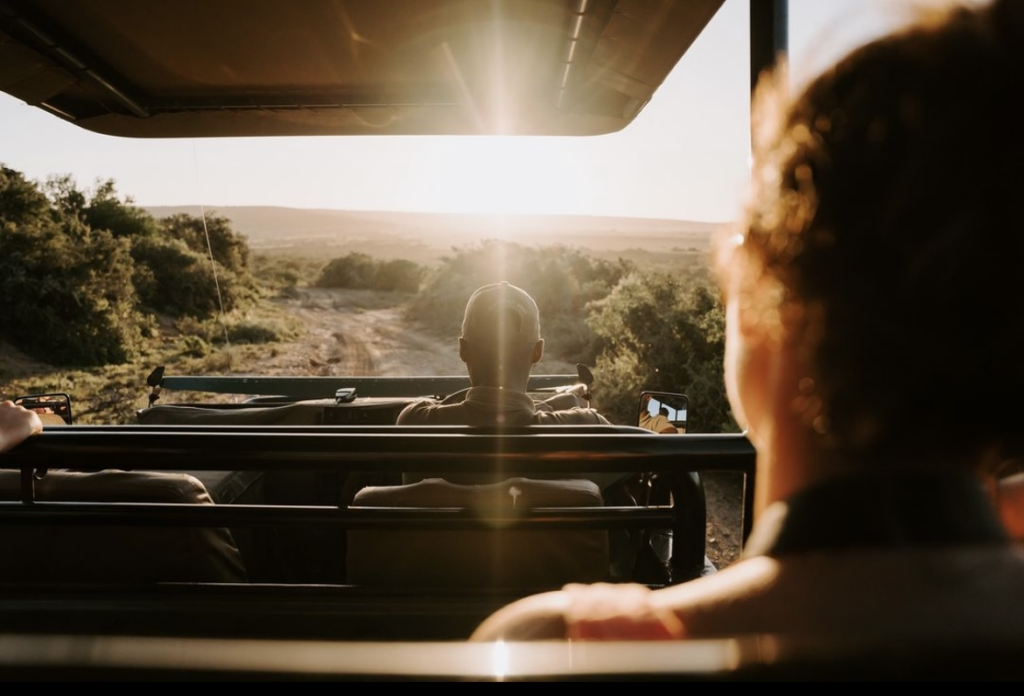 The Marvels of Eastern Cape’s Game Reserves: Shamwari, Kwandwe, Amakhala & More