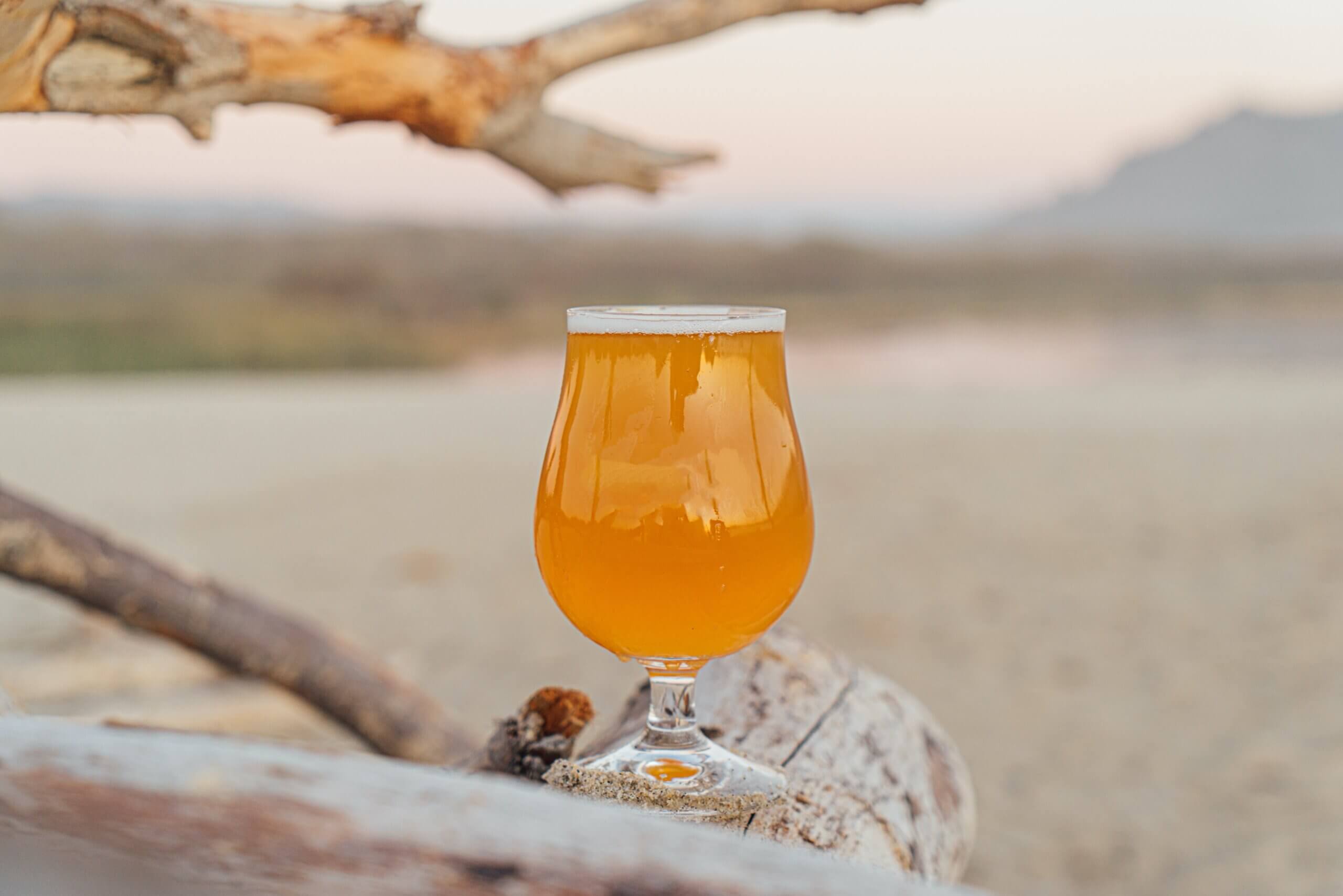 International Beer Day with Rooibos