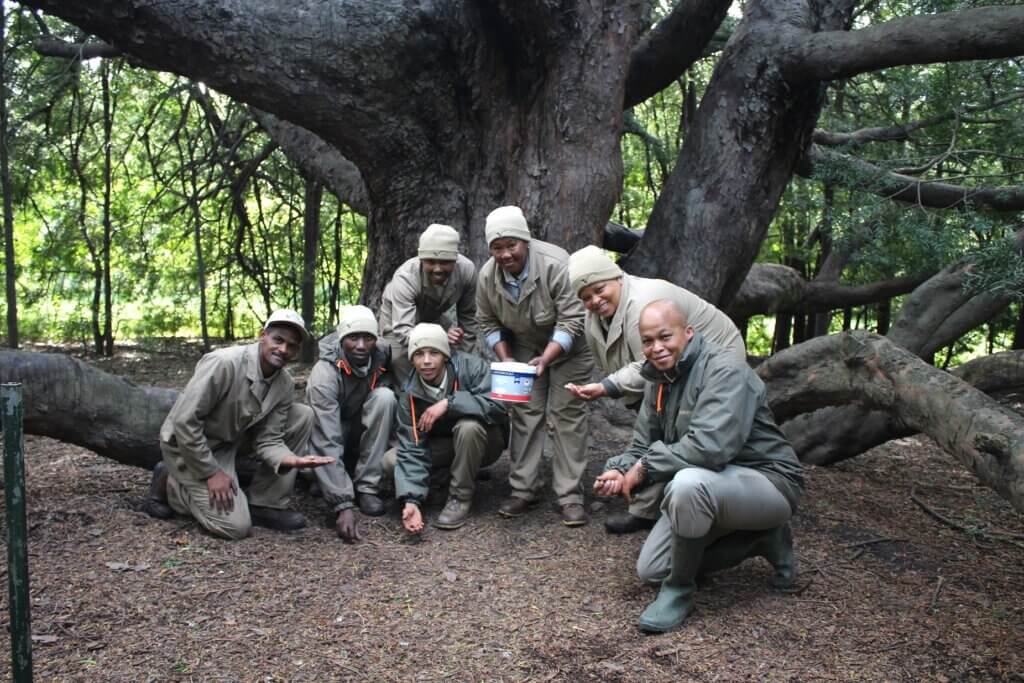 Root For A Greener Future: Plant A Tree At Vergelegen