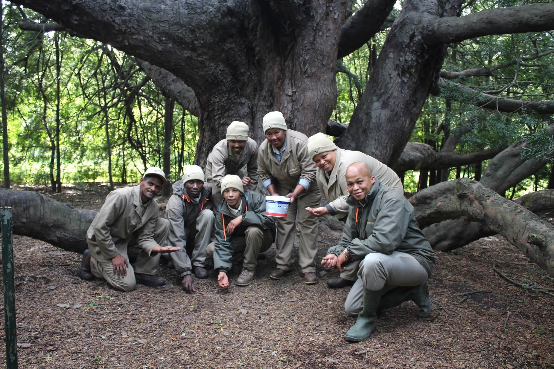 Root For A Greener Future: Plant A Tree At Vergelegen