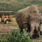 Zululand Escapade