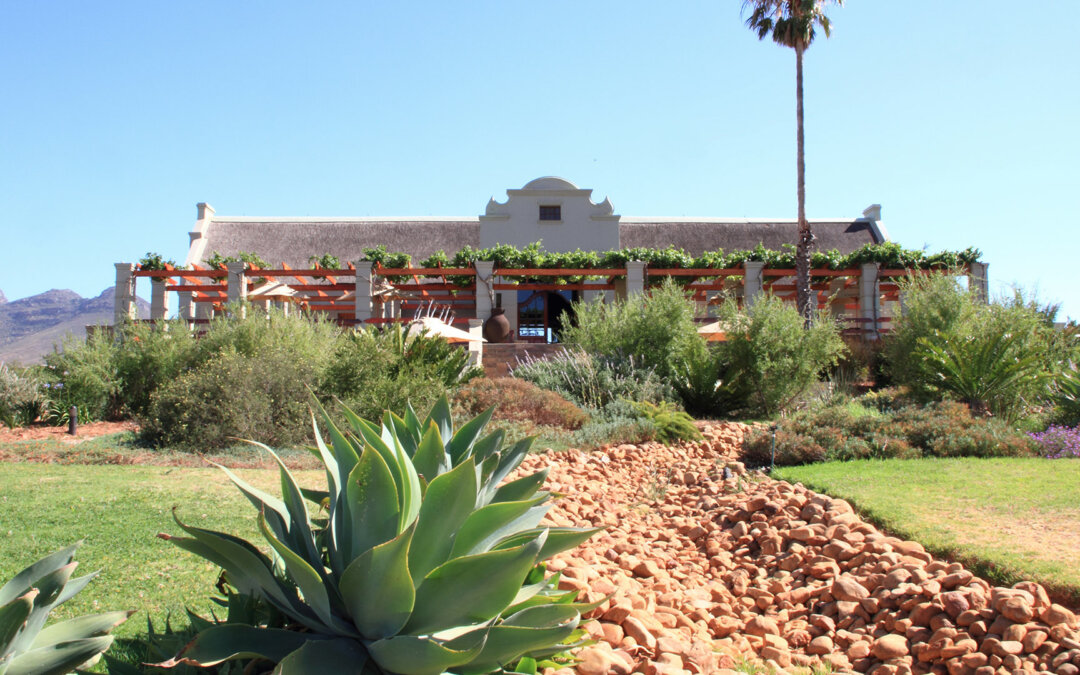 The Swartland Sosiaal Wine Festival is Back!