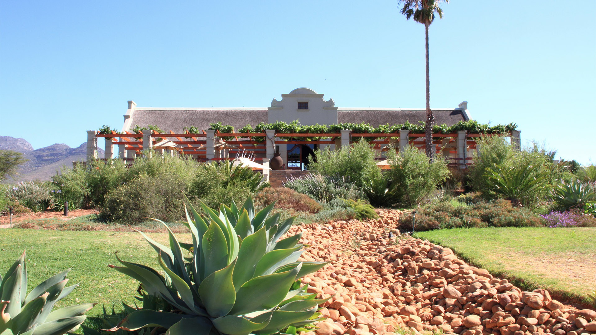 The Swartland Sosiaal Wine Festival is Back!