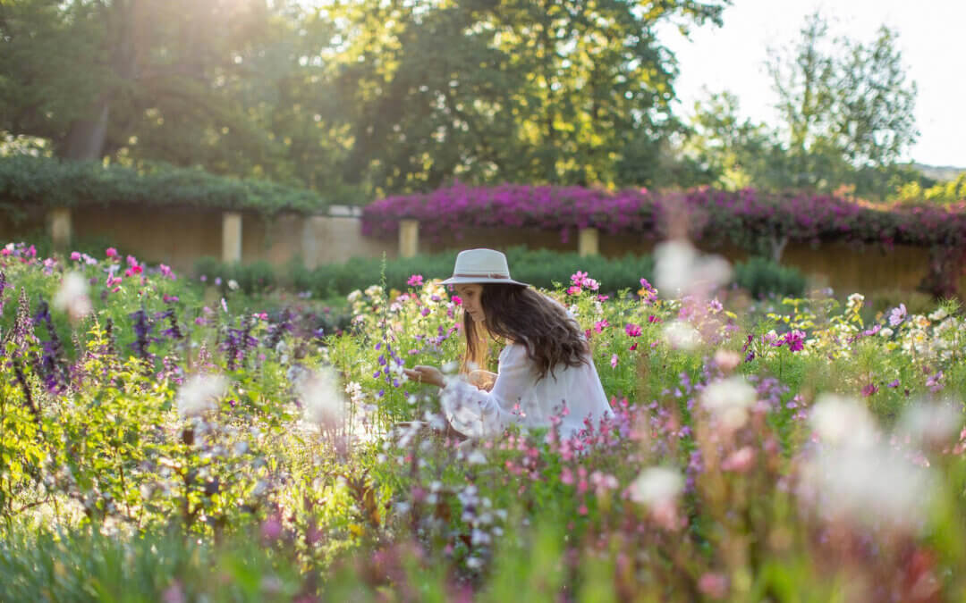 Celebrate Spring at Vergelegen