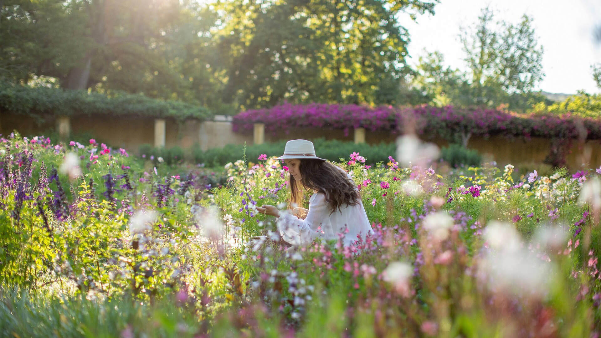 Celebrate Spring at Vergelegen