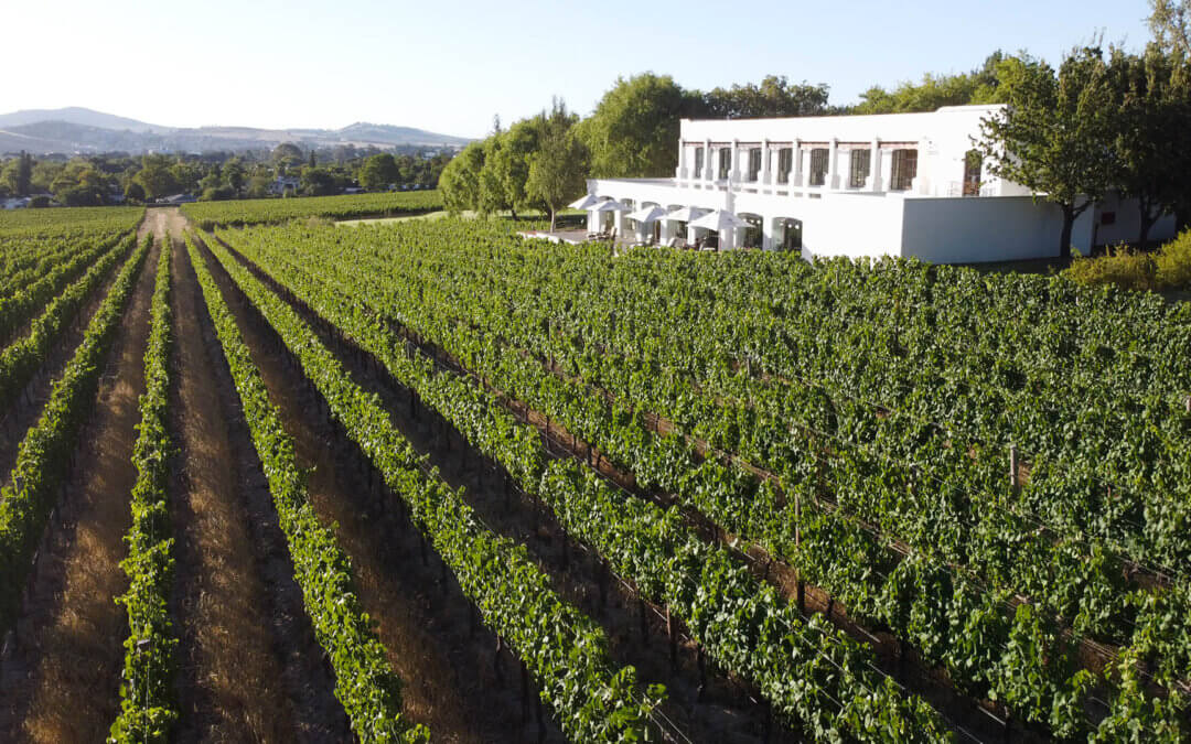 Winelands Icon Wins Coveted Awards