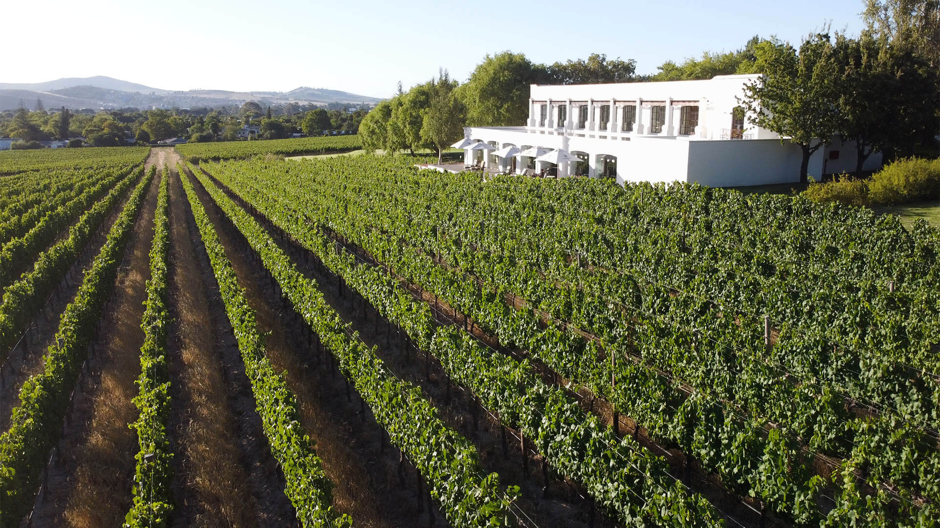Winelands Icon Wins Coveted Awards