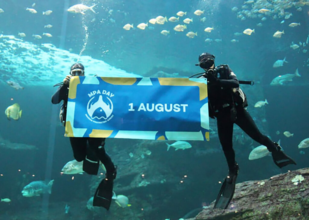 Exciting MPA Day activities in your area