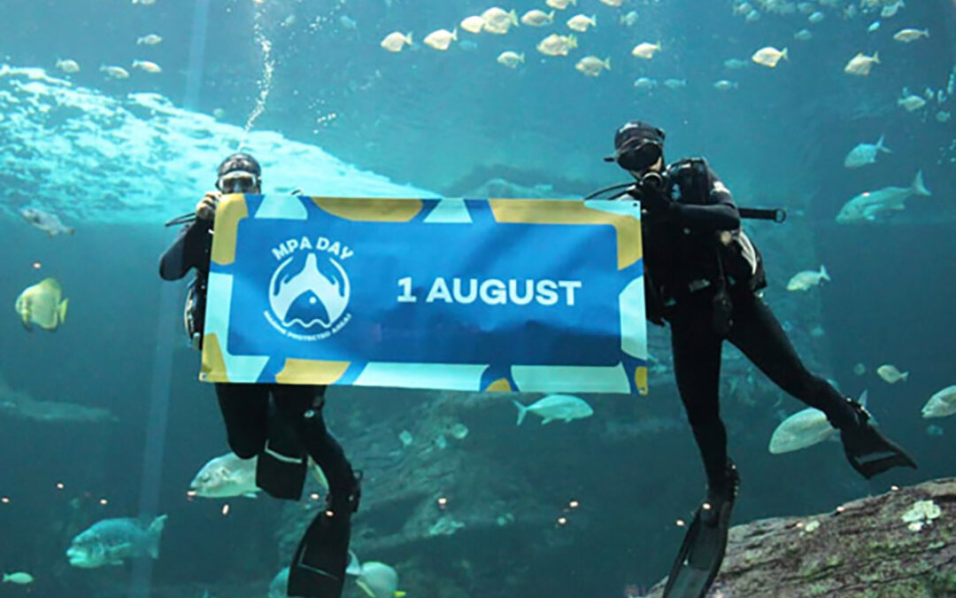Exciting MPA Day activities in your area