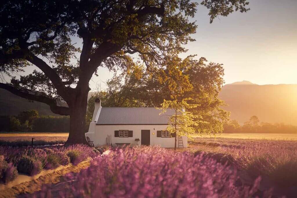 La Motte Estate announces JAN Franschhoek season III
