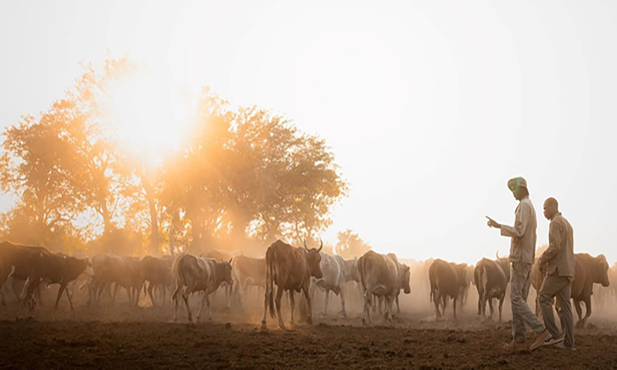 Call to enter the Wilderness Impact Challenge