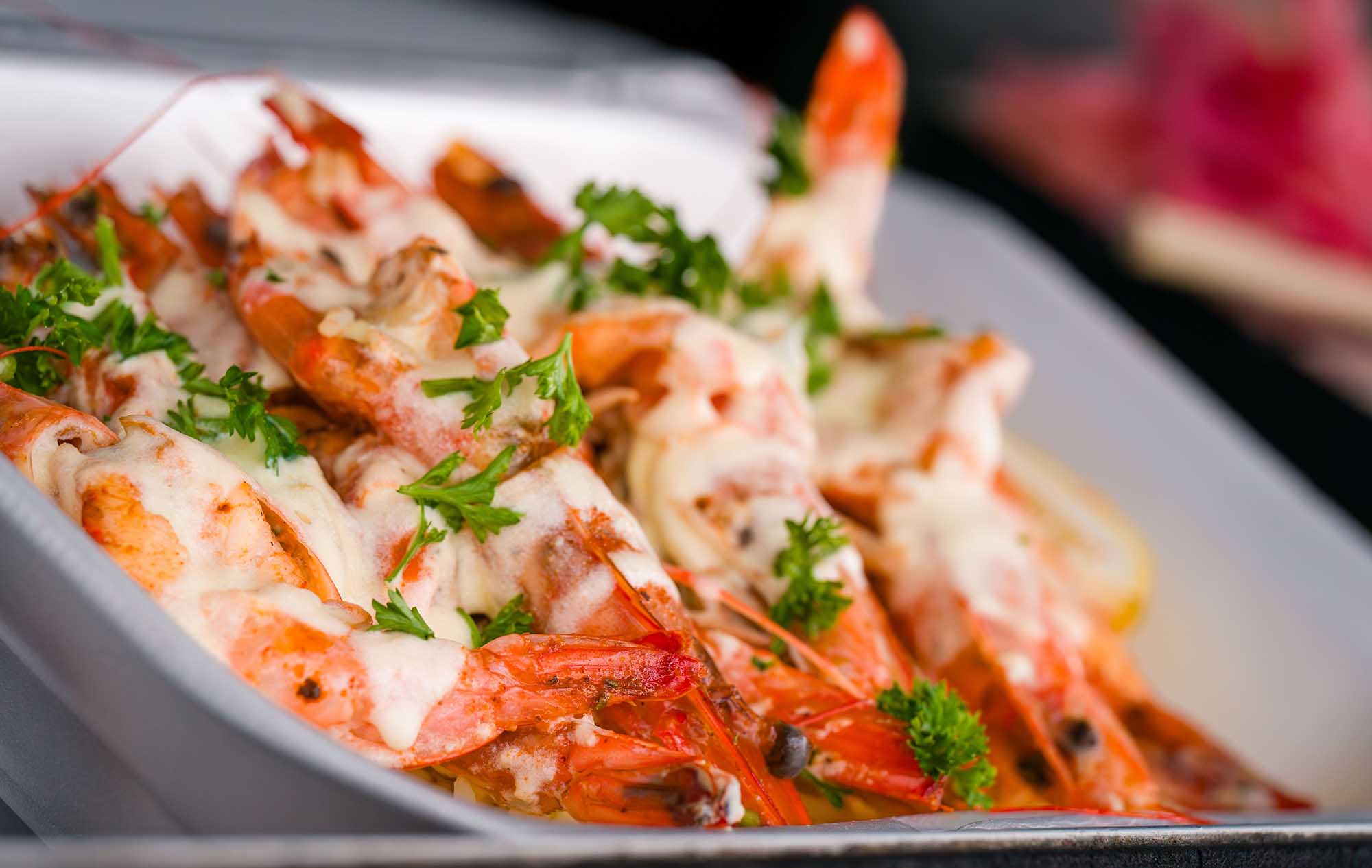 Free entry to the SplashOut Seafood & Jazz Racing Festival