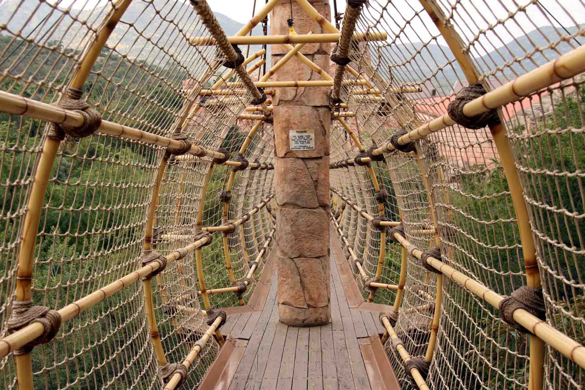 More than 101 things to see and do at Sun City