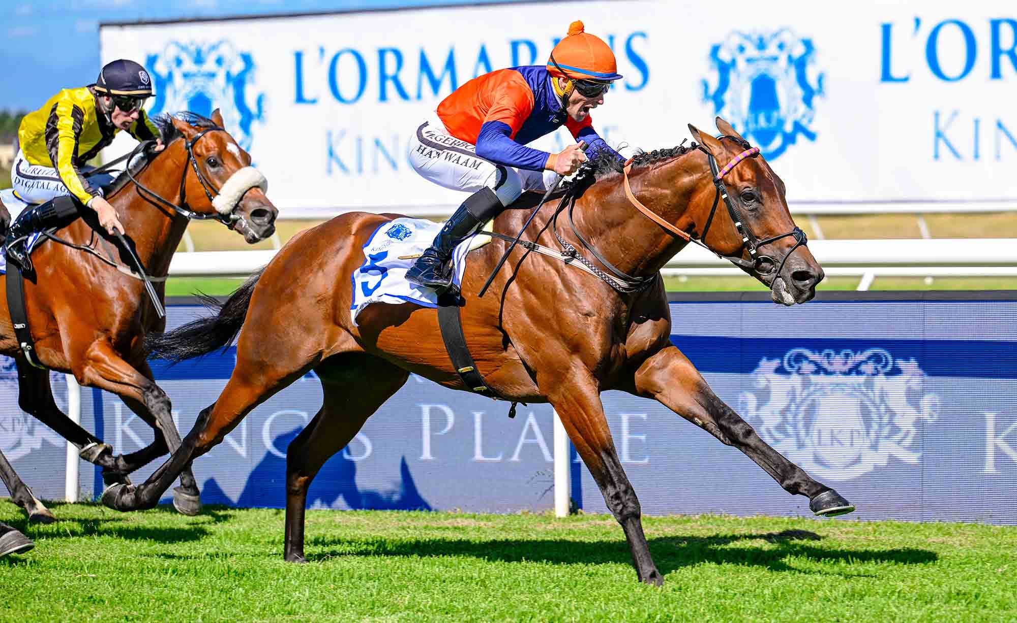 Royal Raceday 2025 – Glamour, giving, and grand racing