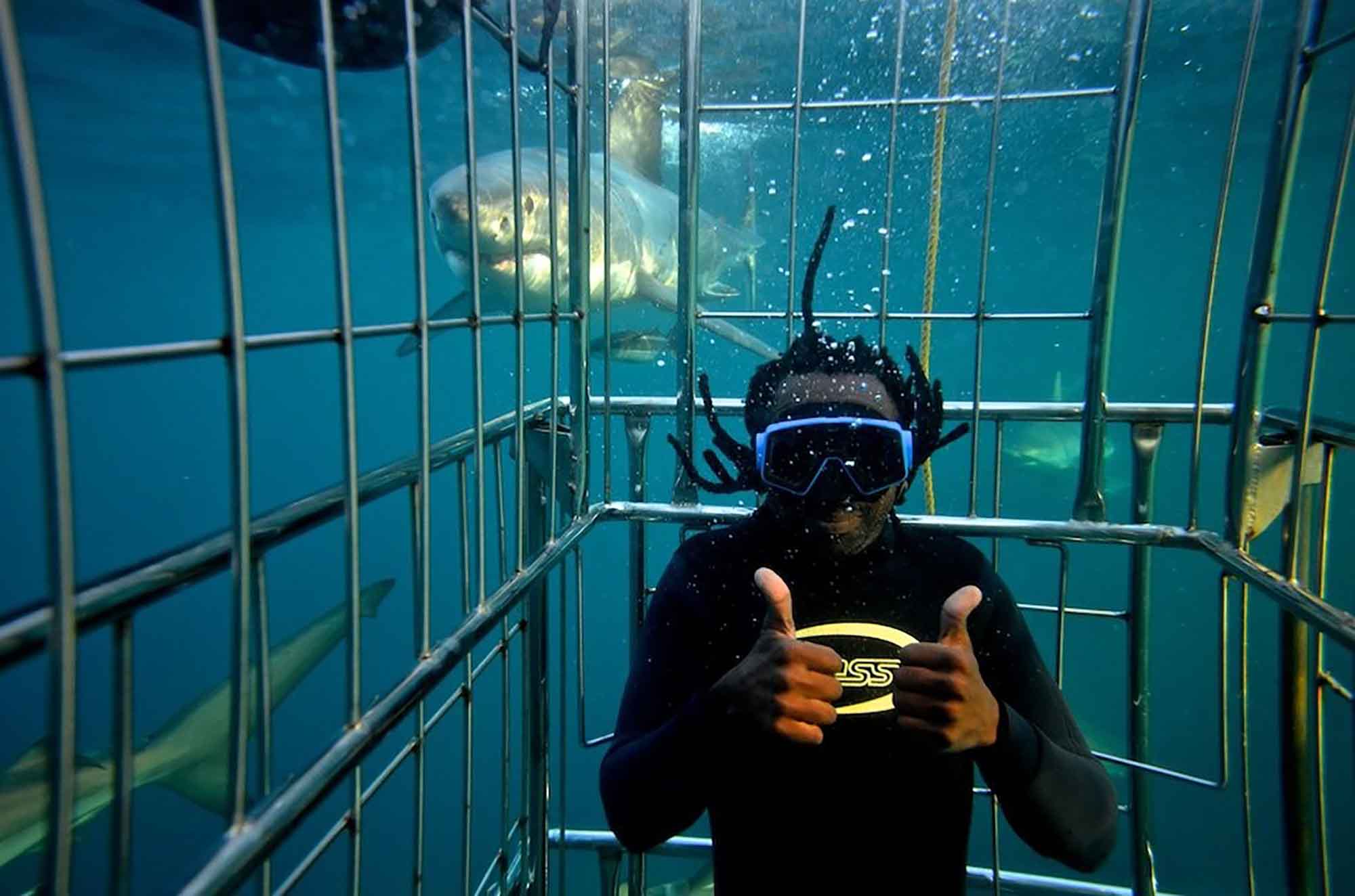 KZN South Coast Sardine run KZN South Coast sardine ru. Picture: SCTIE