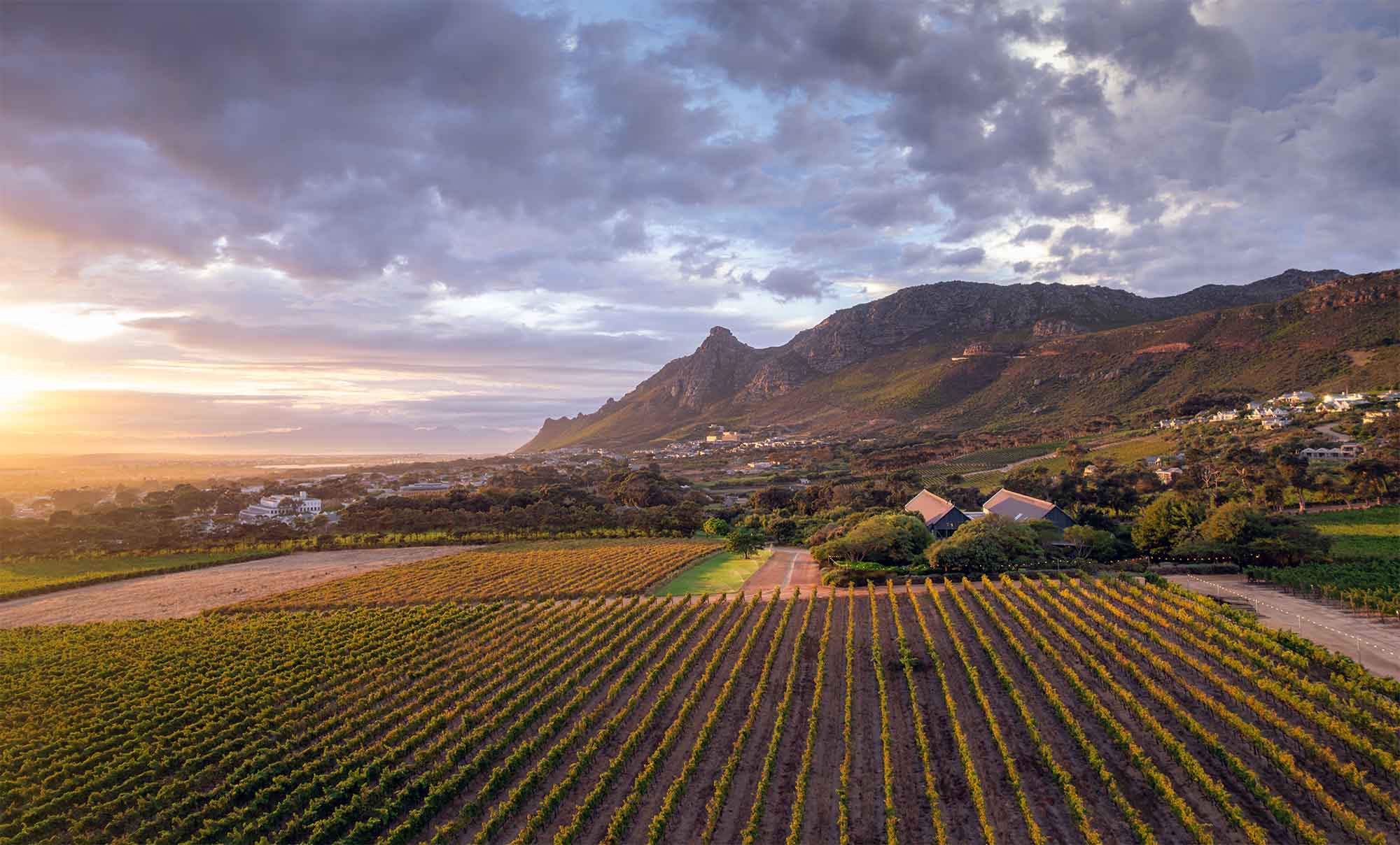 Sauvignon Blanc Month at Steenberg Farm – A Toast to Terroir!