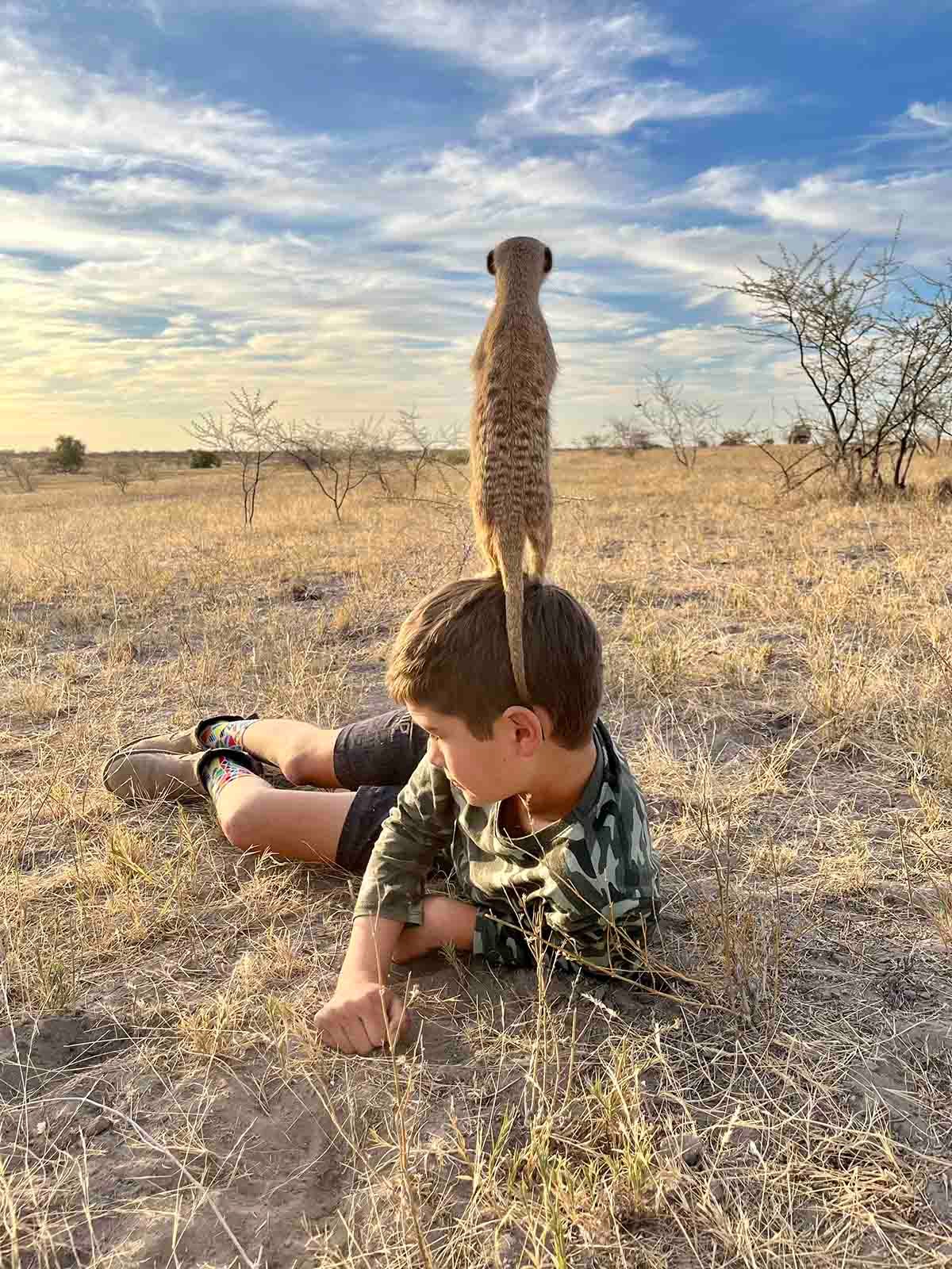 Mhondoro Overland Safaris bookings