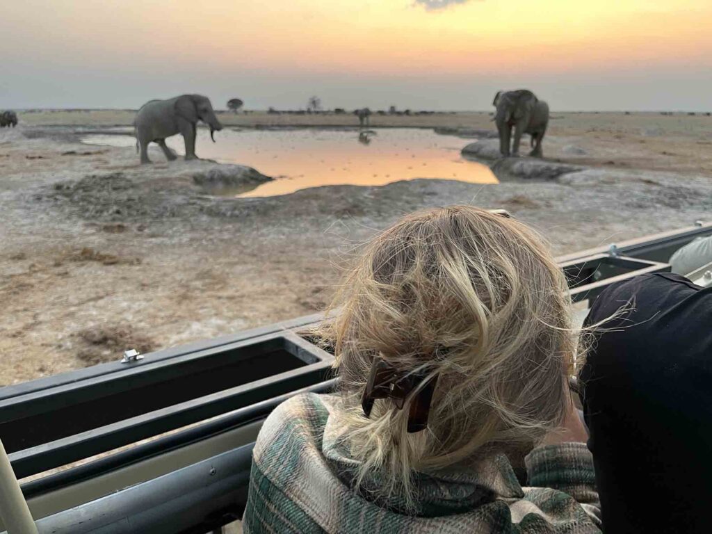 Mhondoro Overland Safaris offers exciting Botswana itinerary