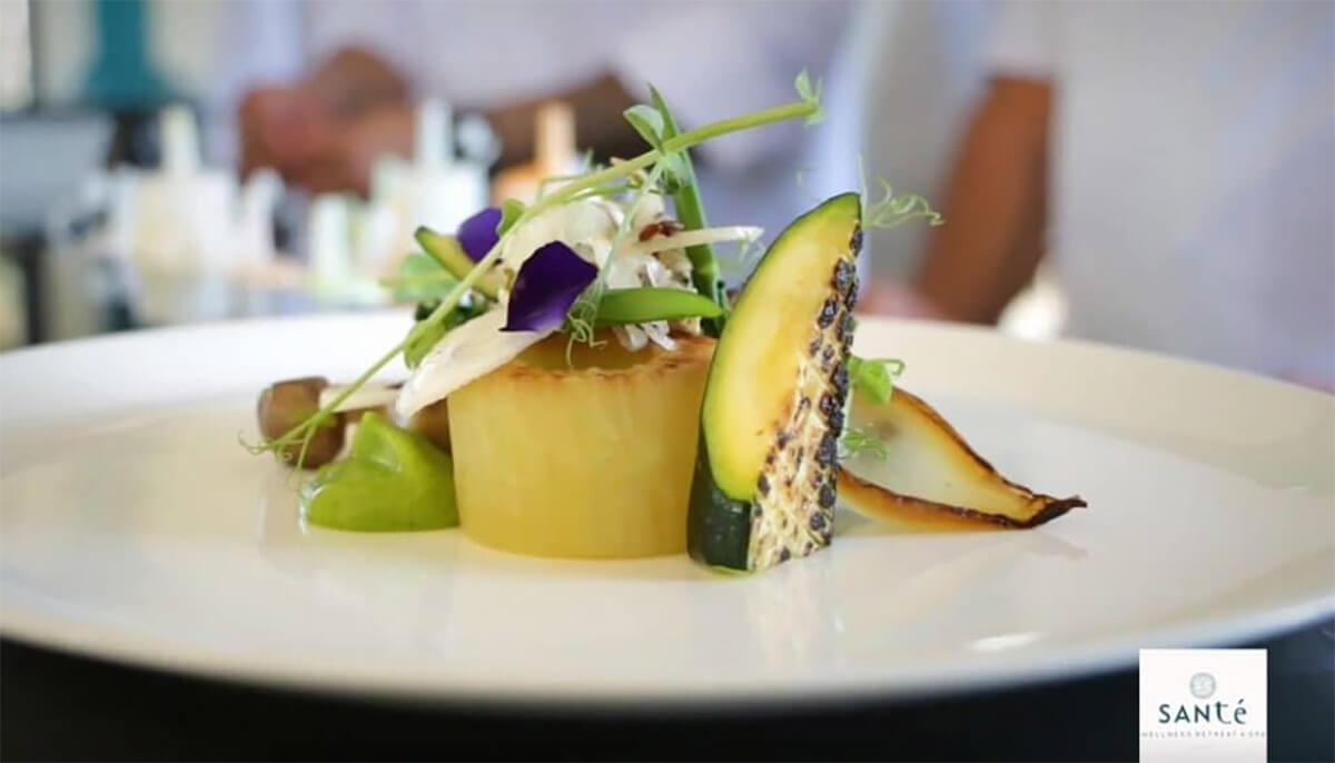 Santé Wellness Retreat & Spa Programs