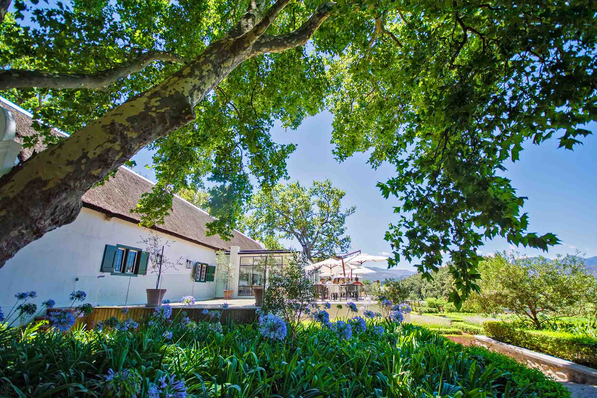 Chef Peter Tempelhoff to open Arum Restaurant at Boschendal
