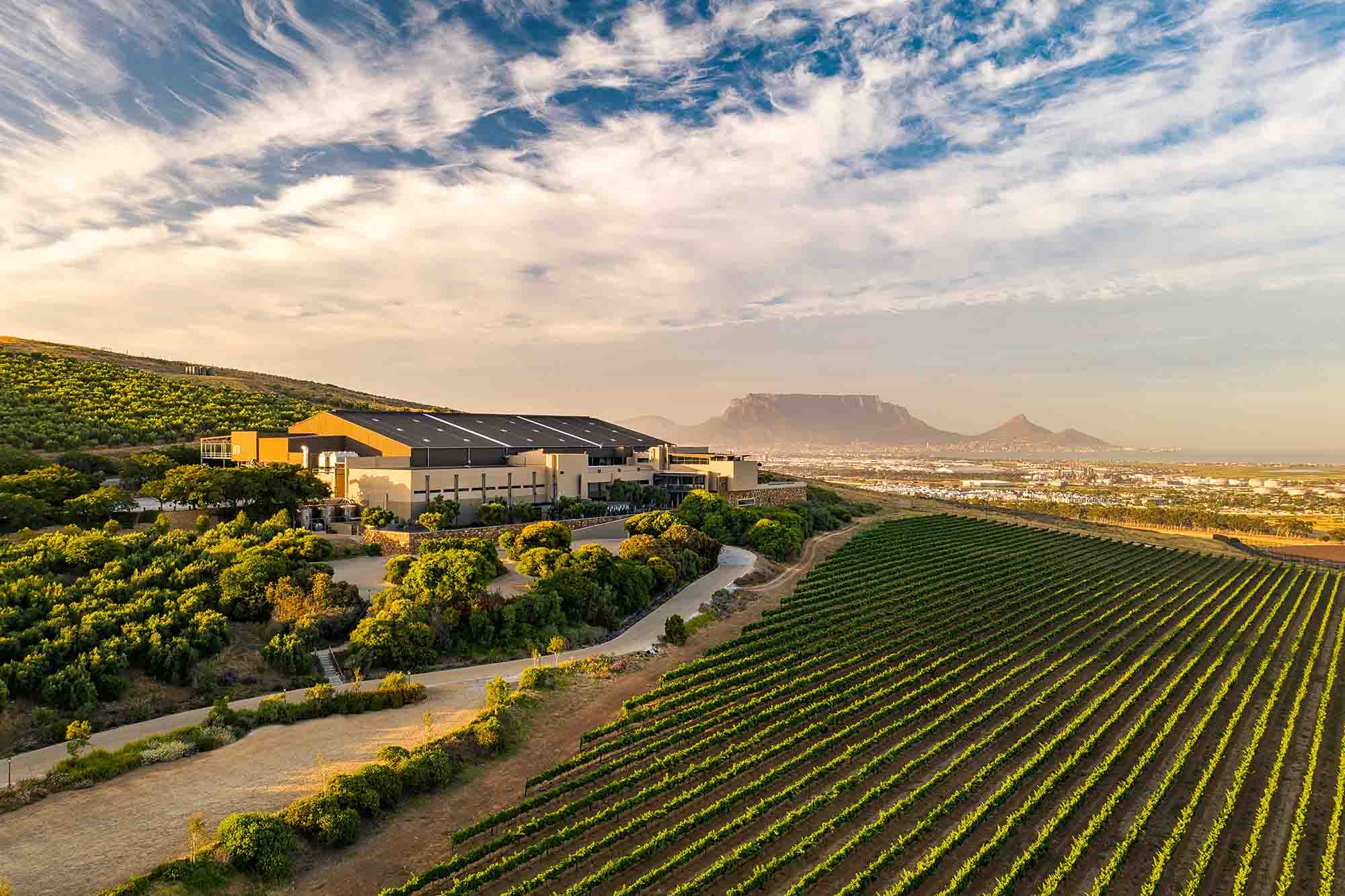 Taste SA’S top Sauvignon Blanc at Durbanville Hills’ Tastes of Tangram