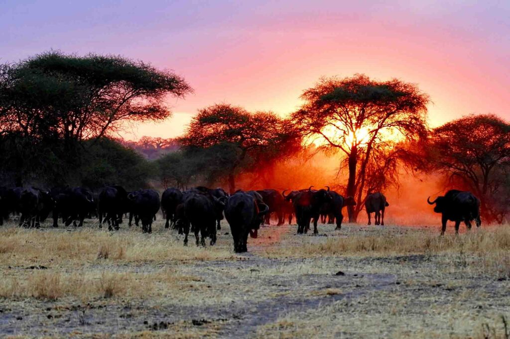 Why women and youth should choose a career in tourism