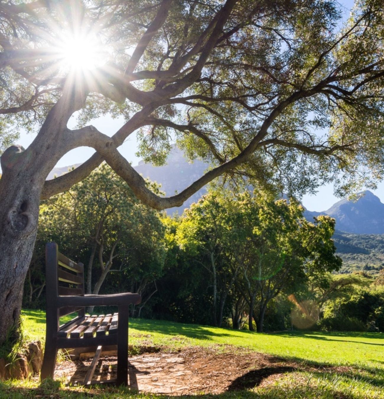 Top 10 Picnic Spots in and Around Cape Town