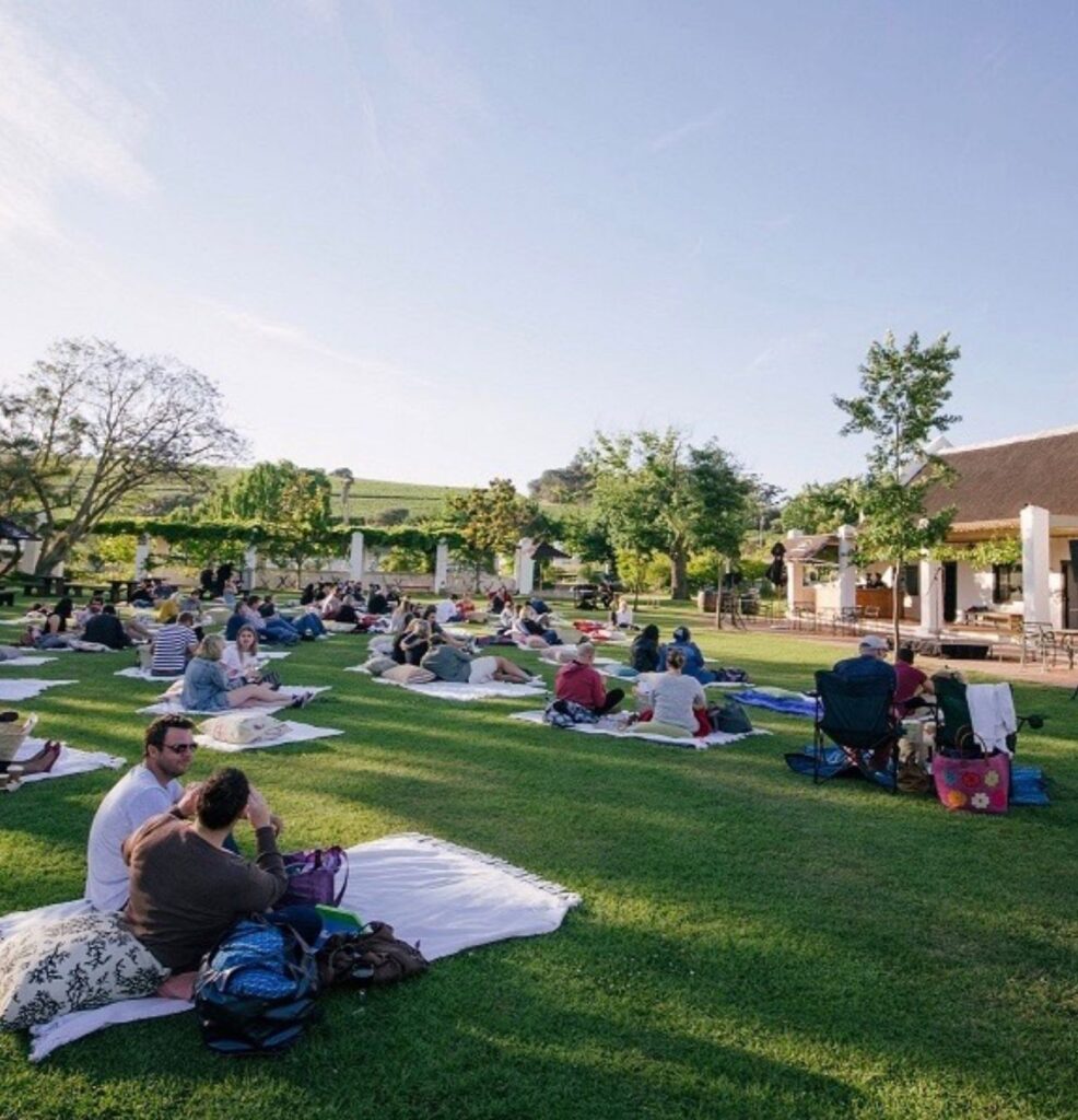Top 10 Picnic Spots in and Around Cape Town