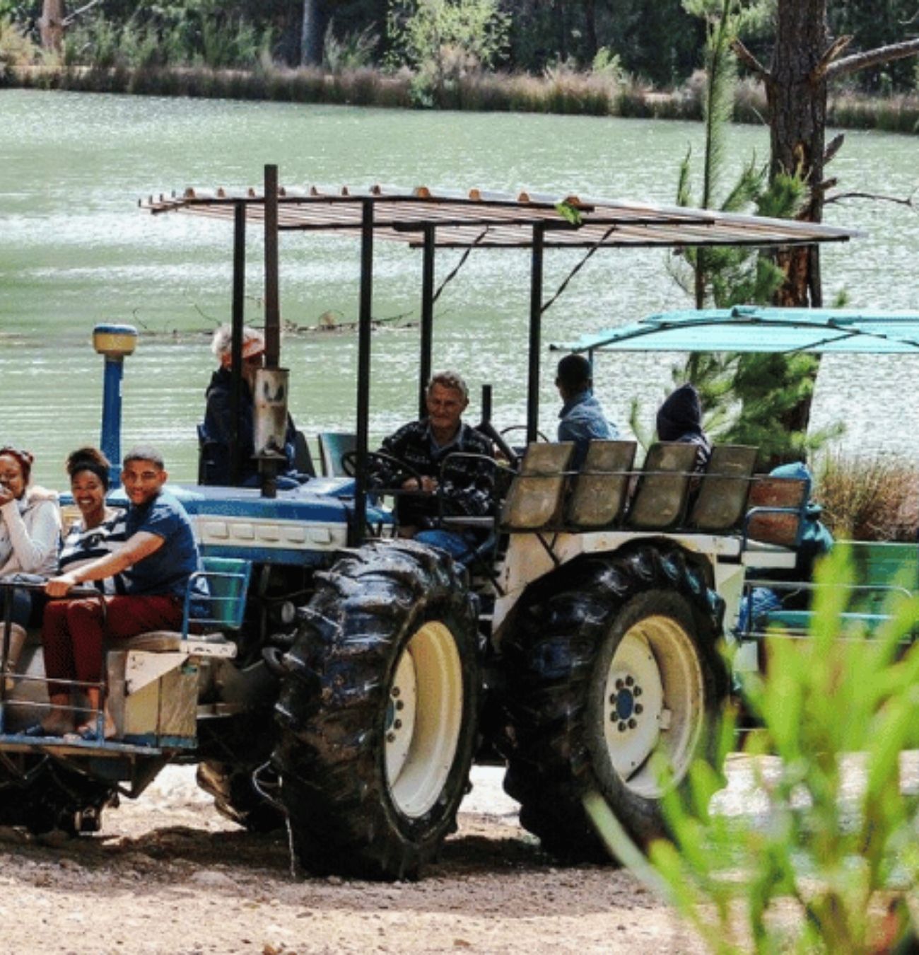 Top 10 Kid-Friendly Adventures in Cape Town