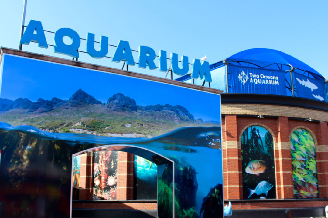 Top 10 Rainy-Day Adventures for Families: Cape Town Edition