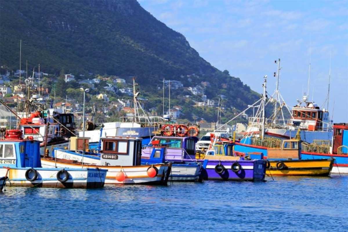 Top 10 Cape Town Suburbs to Explore Like a Local