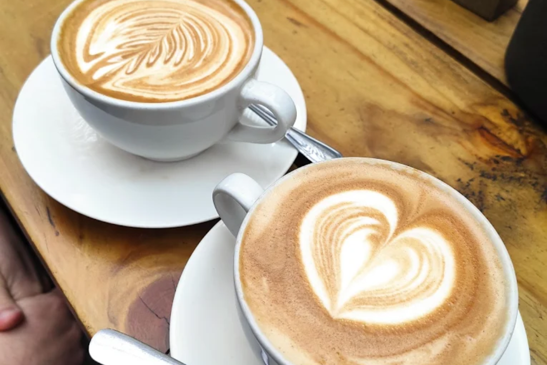 Top 10 Coffee Hangouts for Locals in Cape Town: Purely Local’s Insider Guide