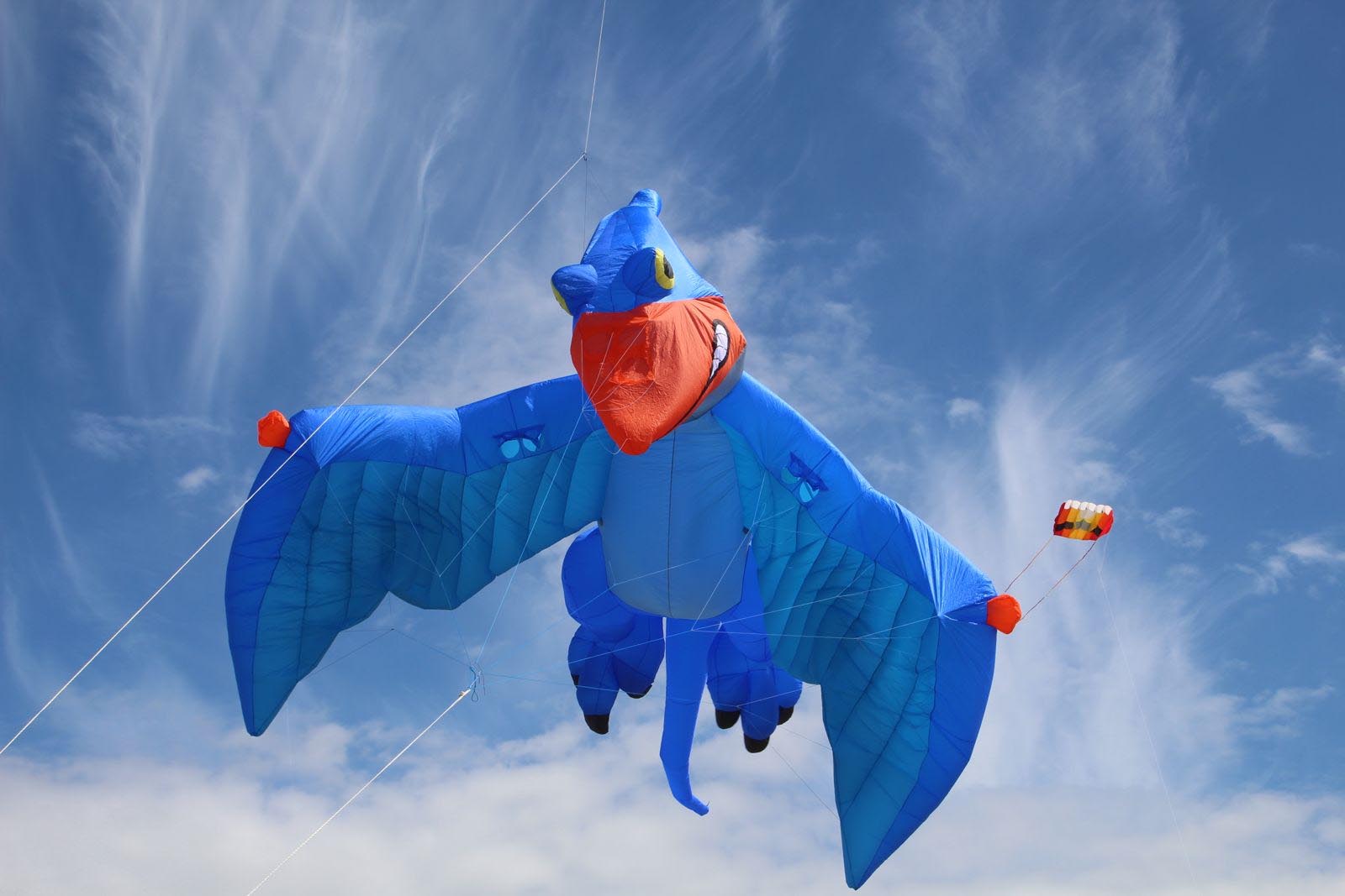 Colourful kites fly at Cape Town International Kite Festival