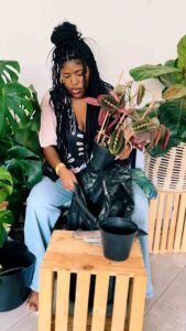 Houghton Bonsai Succulent and Plant Show Nkhensani Rikhotso