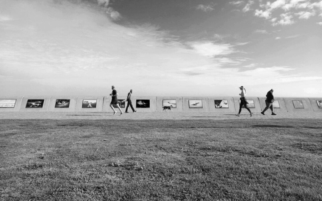 Orms x Canon: Chasing Contrast – Photographic Exhibition Competition