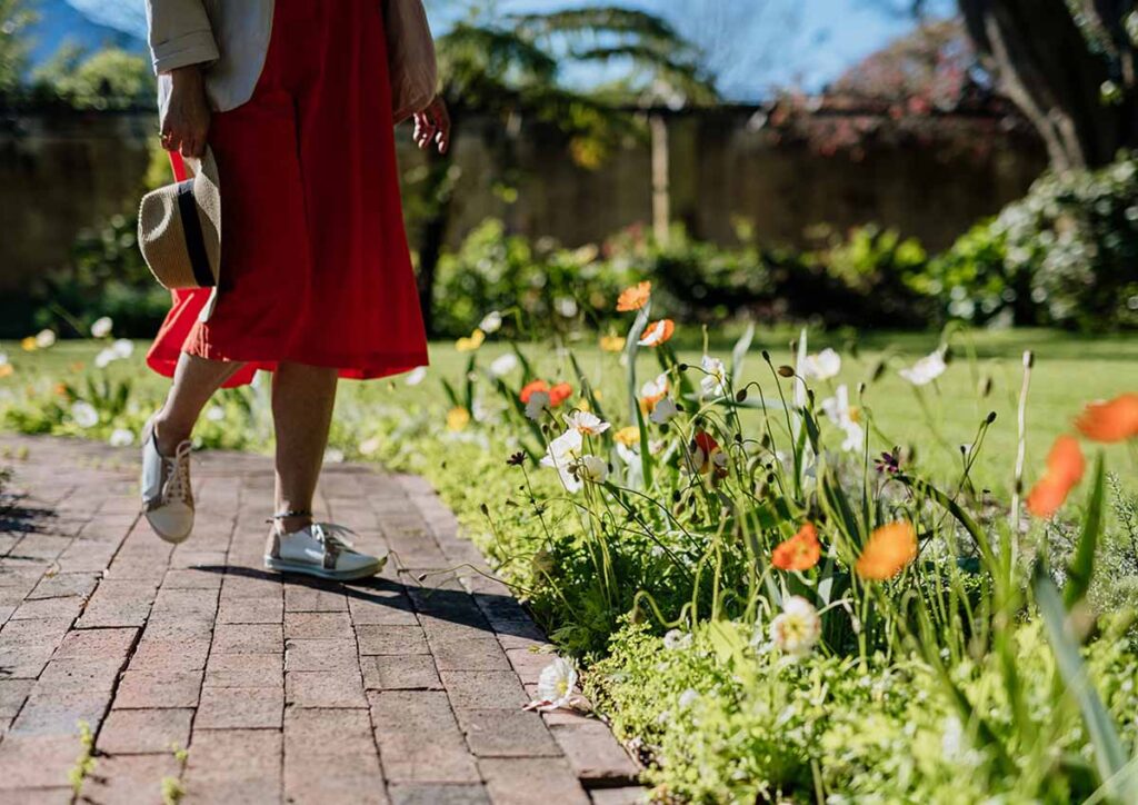Guided beautiful spring garden walks at Vergelegen estate