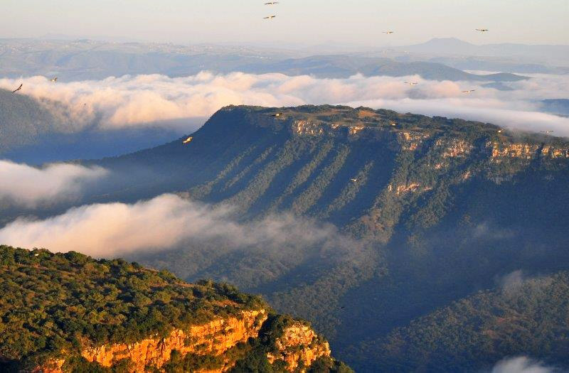 KZN Oribi gorge Experience