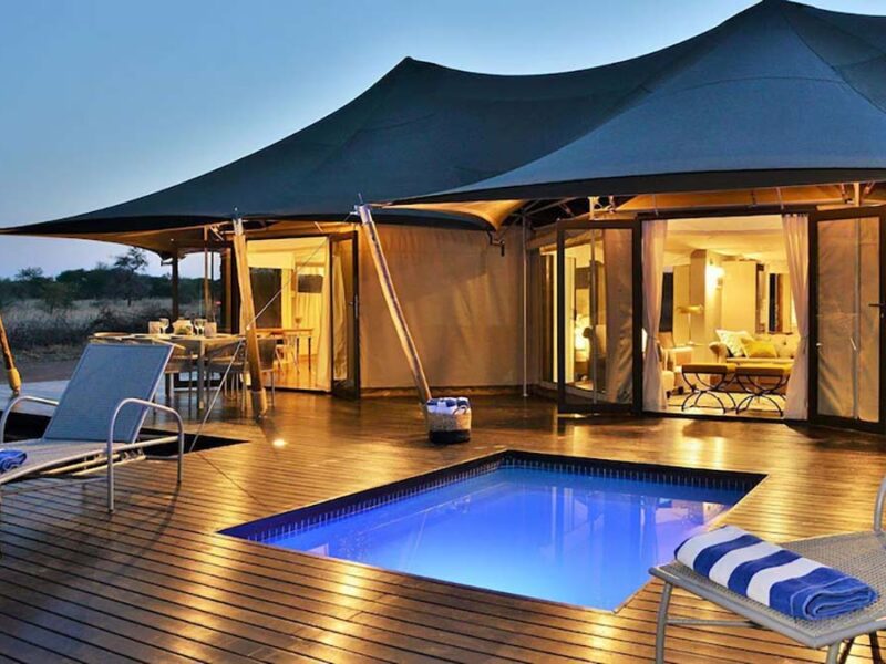 Luxury bush experiences in South Africa – build your own awesome bush escape