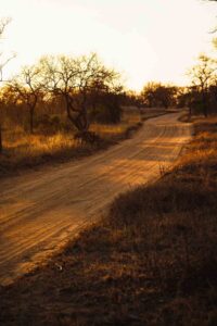 Luxury bush experiences in South Africa - build your own bush escape