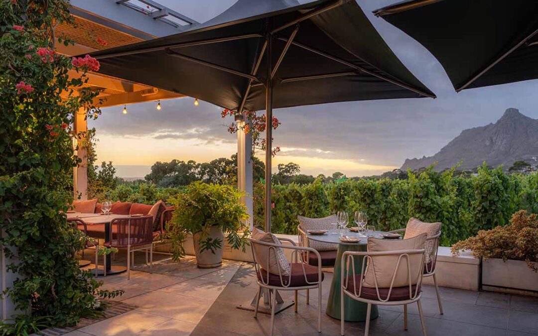 Small groups, big impact: elevating group dining at Steenberg Farm
