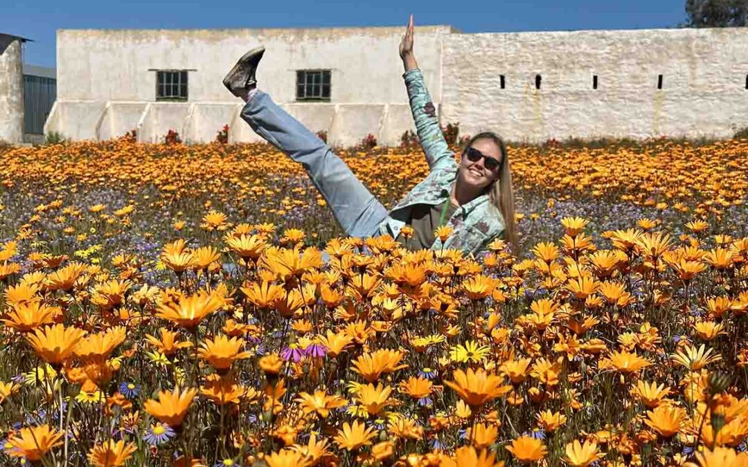 Experience a rare superbloom on a West Coast Way Flower and Foodie Tour