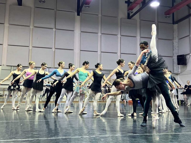 Landmark Swan Lake arrives at Montecasino this August